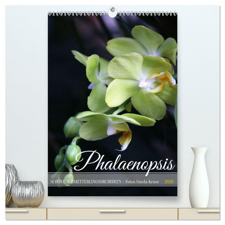 Produktbild: Phalaenopsis - Sch&ouml;ne Schmetterlingsorchideen (hochwertiger Premium Wandkalender 2026 DIN A2 hoch), Kunstdruck in Hochglanz