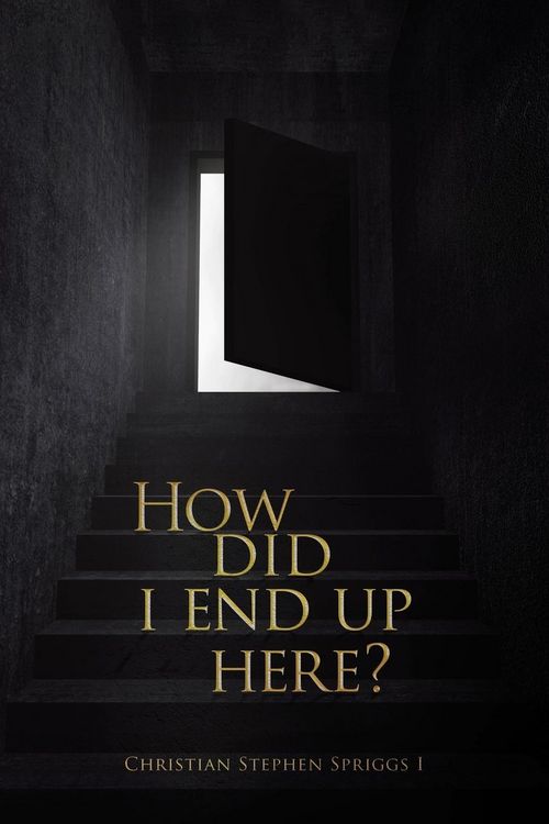 Produktbild: How did I end up here?