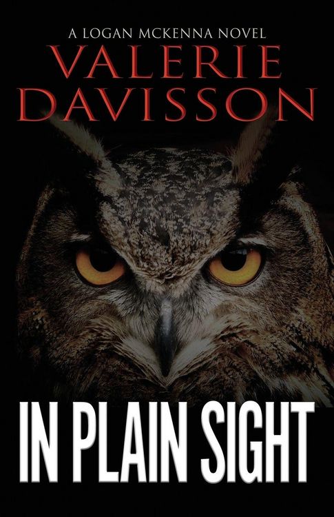 Produktbild: In Plain Sight