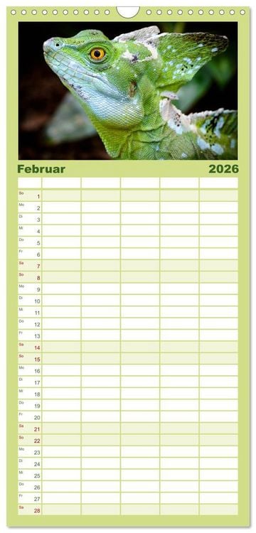 Produktbild: Familienplaner 2026 - Echsen - Schuppige &Uuml;berlebensk&uuml;nstler mit 5 Spalten (Wandkalender, 21 x 45 cm) CALVENDO