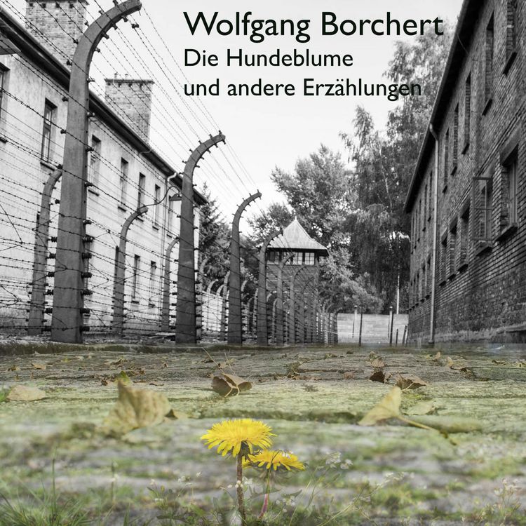 Produktbild: Die Hundeblume