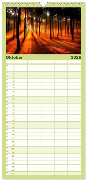 Produktbild: Familienplaner 2026 - Mystik der W&auml;lder mit 5 Spalten (Wandkalender, 21 x 45 cm) CALVENDO