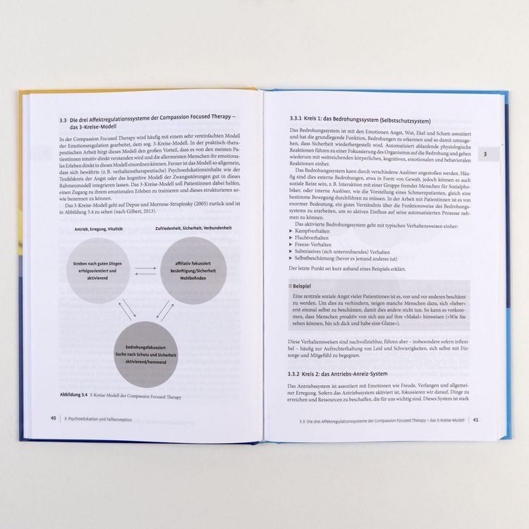 Produktbild: Compassion Focused Therapy in der Praxis
