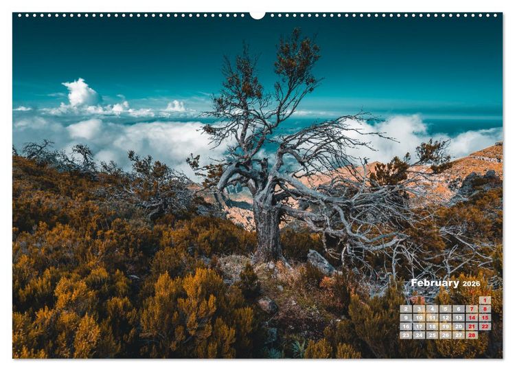 Produktbild: Madeira Island - Portugal (Wall Calendar 2026 DIN A2 landscape), CALVENDO 12 Month Wall Calendar
