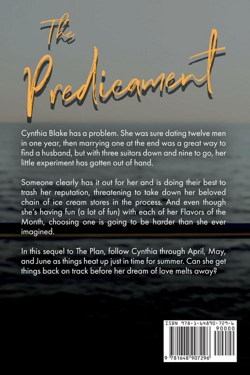 Produktbild: The Predicament