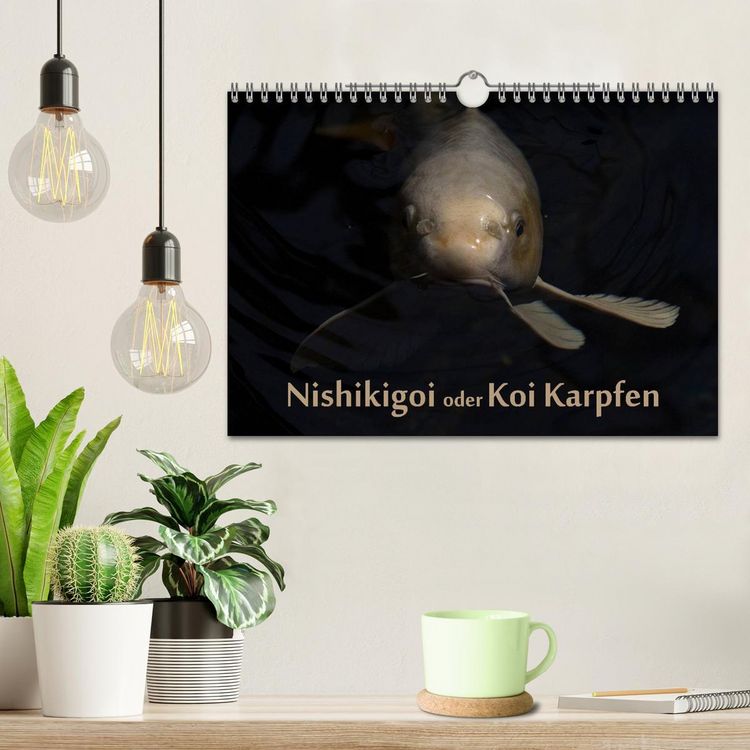 Produktbild: Nishikigoi oder Koi Karpfen (Wandkalender 2026 DIN A4 quer), CALVENDO Monatskalender