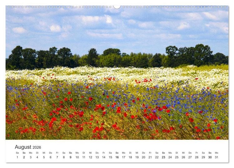 Produktbild: Die sch&ouml;nsten Blumenwiesen der Welt (hochwertiger Premium Wandkalender 2026 DIN A2 quer), Kunstdruck in Hochglanz