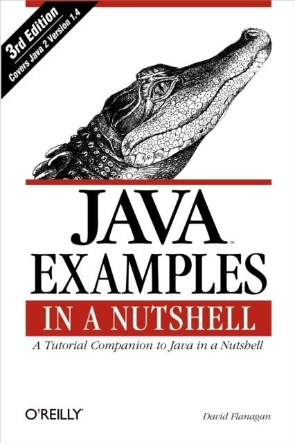 Produktbild: Java Examples in a Nutshell