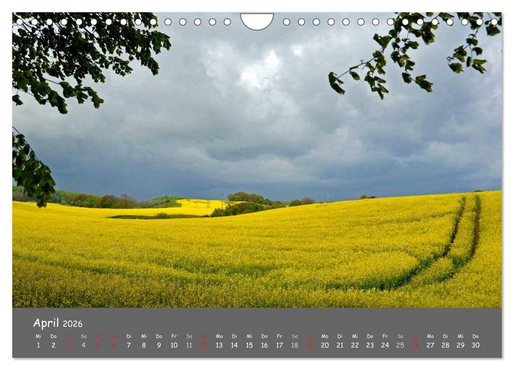Produktbild: Wundersch&ouml;ne Landschaften des Nordens (Wandkalender 2026 DIN A4 quer), CALVENDO Monatskalender