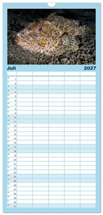 Produktbild: Familienplaner 2027 - Faszination blaue Unterwasserwelt mit 5 Spalten (Wandkalender, 21 x 45 cm) CALVENDO