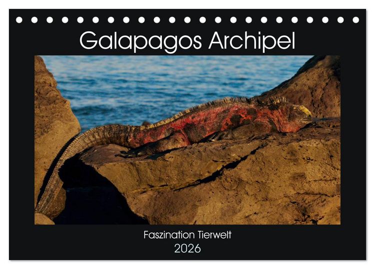 Produktbild: Galapagos Archipel- Faszination Tierwelt (Tischkalender 2026 DIN A5 quer), CALVENDO Monatskalender
