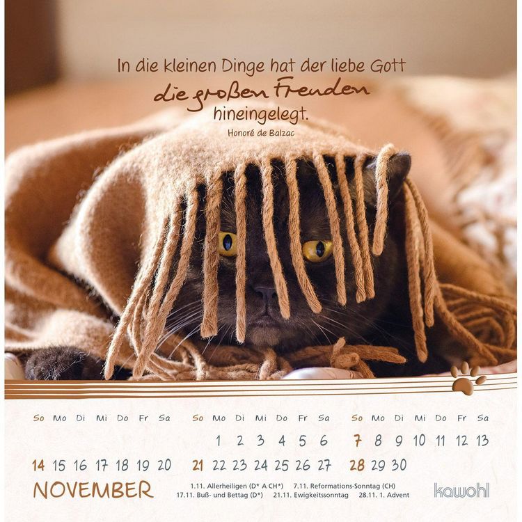 Produktbild: Kleine Katzen-Tatzen 2027