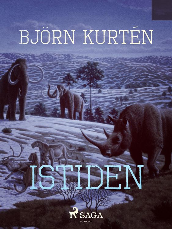 Produktbild: Istiden