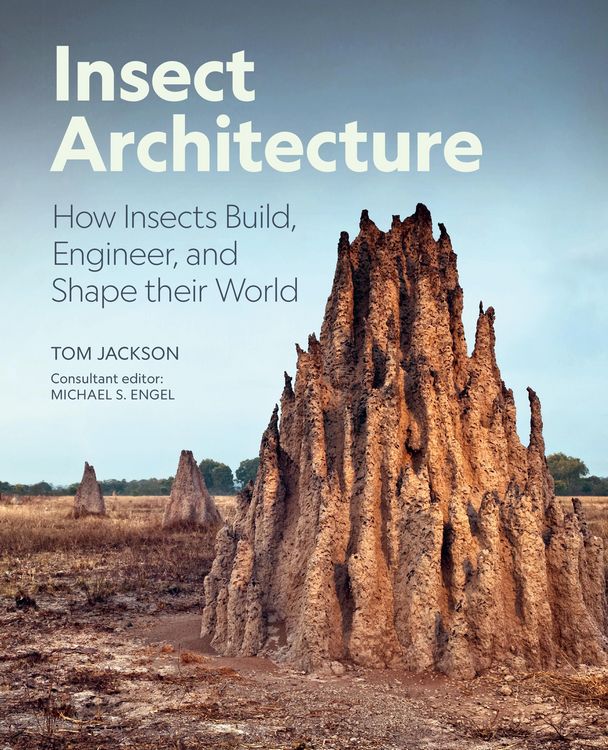 Produktbild: Insect Architecture
