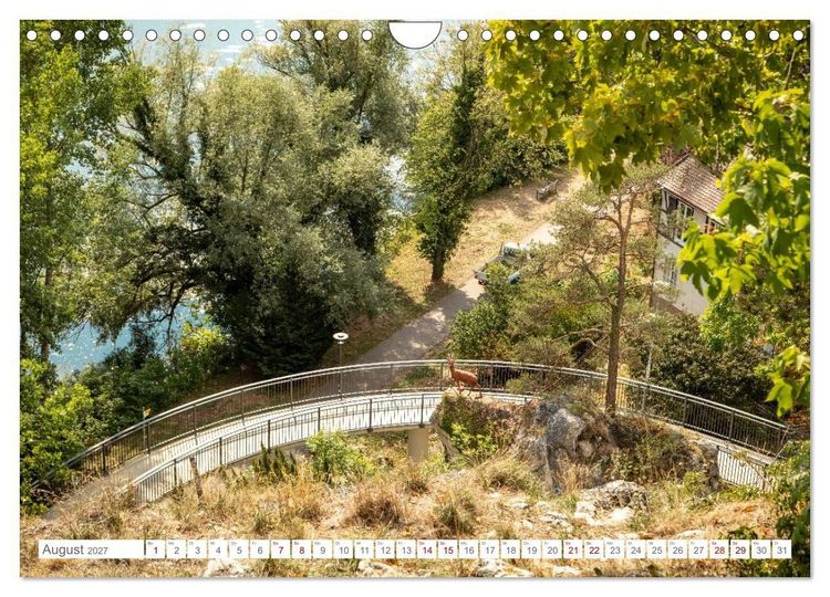 Produktbild: Sommerliches Sigmaringen (Wandkalender 2027 DIN A4 quer), CALVENDO Monatskalender