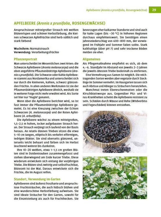 Produktbild: Besondere Obstarten
