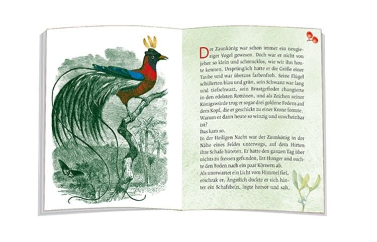 Produktbild: Das M&auml;rchen vom Zaunk&ouml;nig