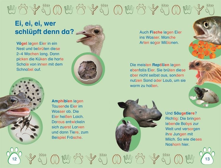 Produktbild: SUPERLESER! Nachwuchs bei uns im Zoo