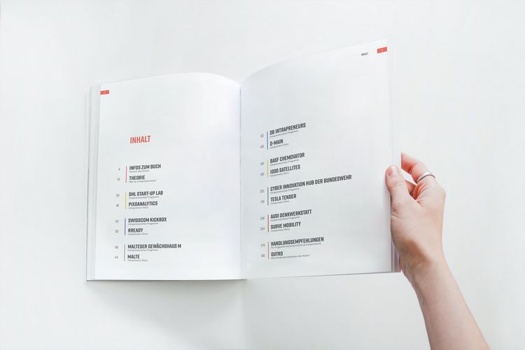 Produktbild: Intrapreneur Stories