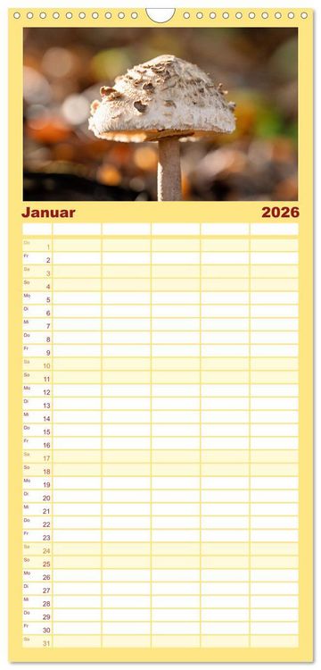 Produktbild: Familienplaner 2026 - Fantastische Pilzwelten mit 5 Spalten (Wandkalender, 21 x 45 cm) CALVENDO