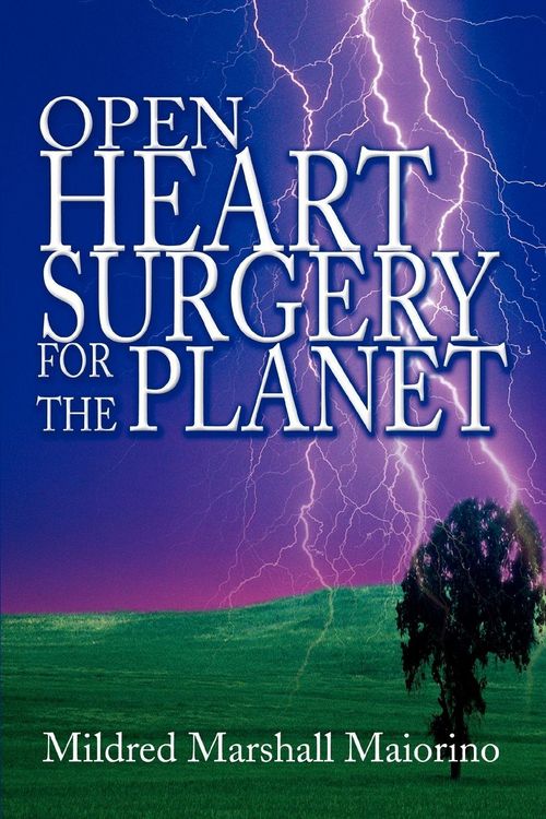 Produktbild: Open Heart Surgery For The Planet