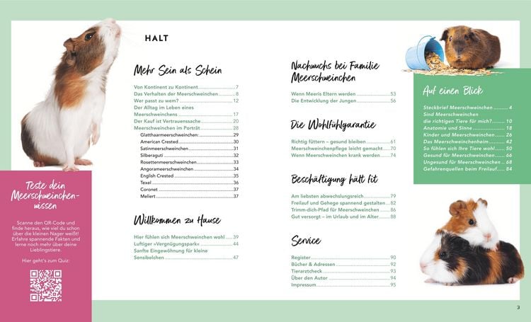 Produktbild: Meerschweinchen