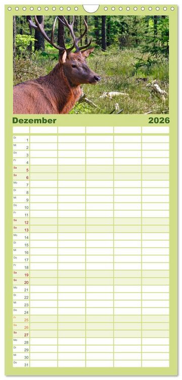 Produktbild: Familienplaner 2026 - Deutsches Jagdwild - Waidmannsheil mit 5 Spalten (Wandkalender, 21 x 45 cm) CALVENDO