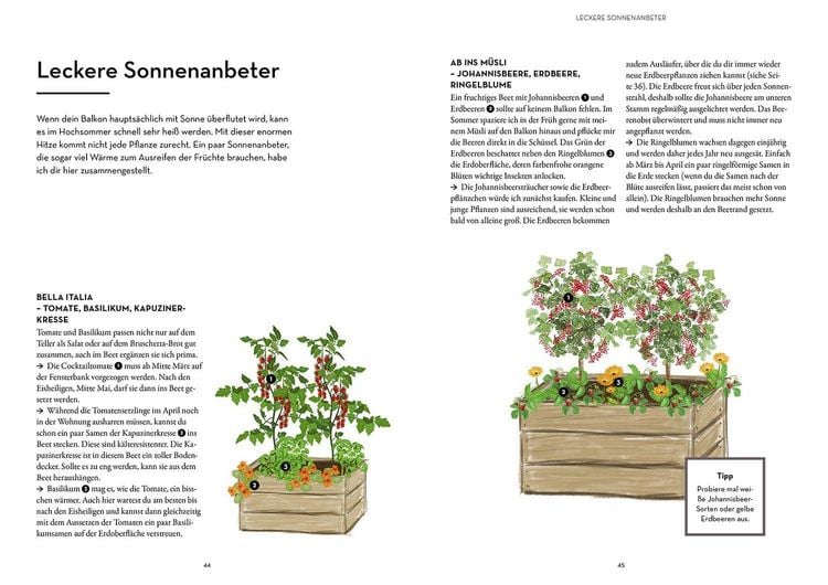 Produktbild: Mein Balkon-Hochbeet