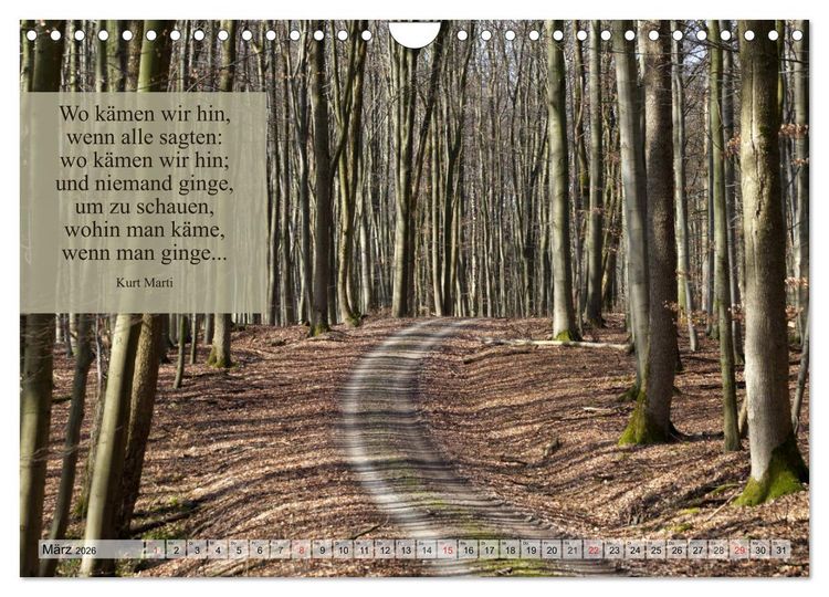 Produktbild: Weises (Wandkalender 2026 DIN A4 quer), CALVENDO Monatskalender