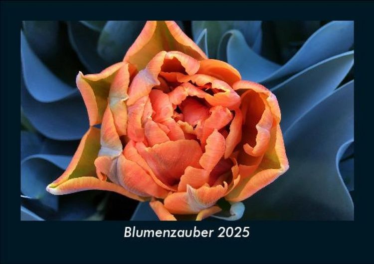 Produktbild: Blumenzauber 2025 Fotokalender DIN A5