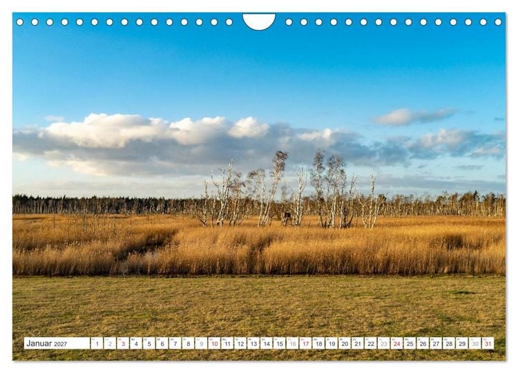 Produktbild: Mecklenburg-Vorpommern - Fischland-Dar&szlig;-Zingst (Wandkalender 2027 DIN A4 quer), CALVENDO Monatskalender