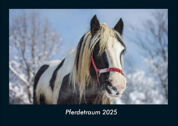 Produktbild: Pferdetraum 2025 Fotokalender DIN A4