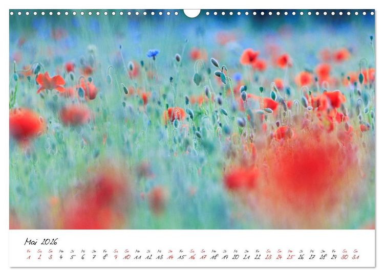 Produktbild: Mohnwiesen (Wandkalender 2026 DIN A3 quer), CALVENDO Monatskalender