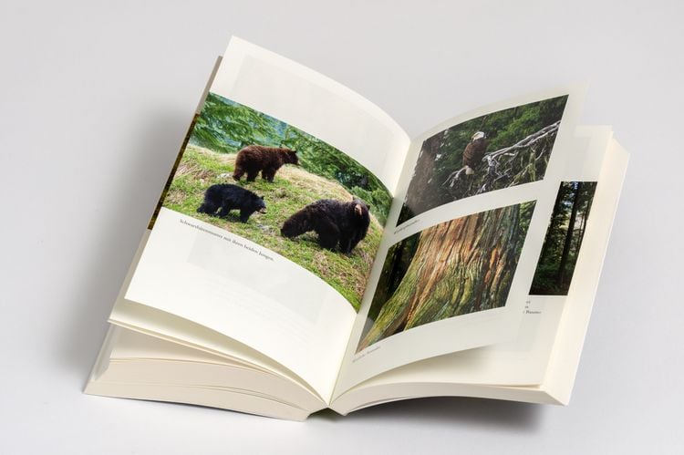 Produktbild: Die Weisheit der W&auml;lder