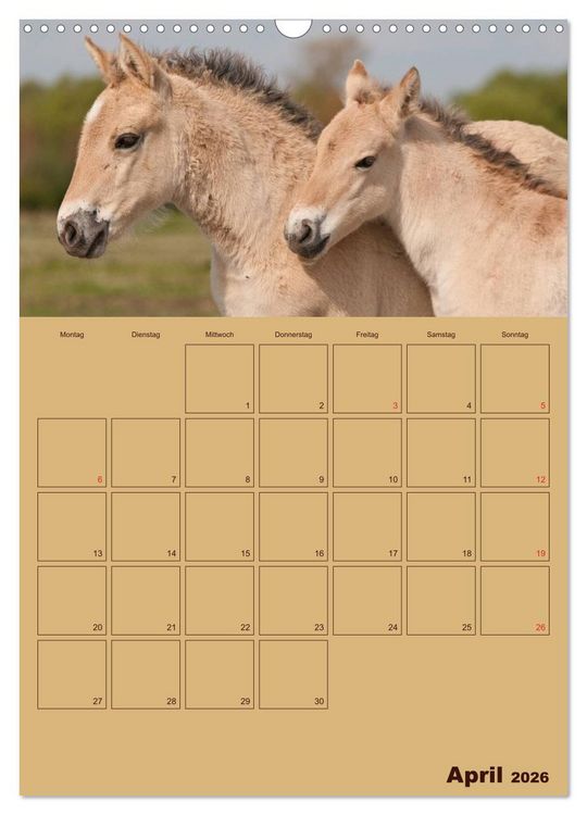 Produktbild: Pferde Gute Freunde (Wandkalender 2026 DIN A3 hoch), CALVENDO Monatskalender