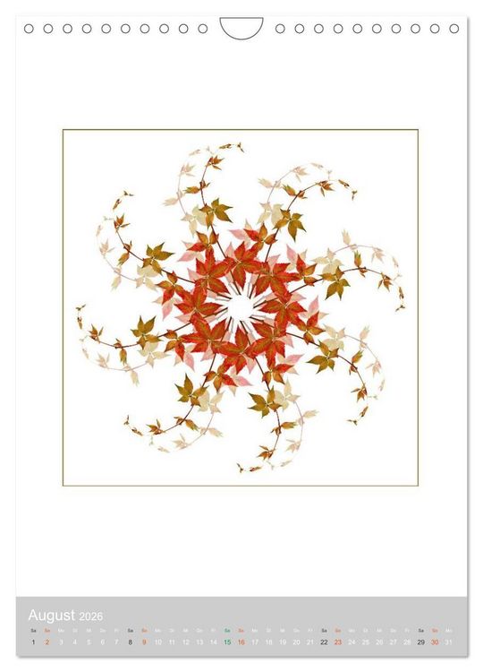 Produktbild: Pflanzen - Mandalas aus Bl&uuml;ten und Bl&auml;ttern (Wandkalender 2026 DIN A4 hoch), CALVENDO Monatskalender