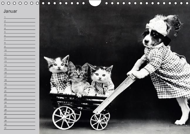 Produktbild: Katzen und Hunde - Nostalgie auf Pfoten (Wandkalender immerw&auml;hrend DIN A4 quer)