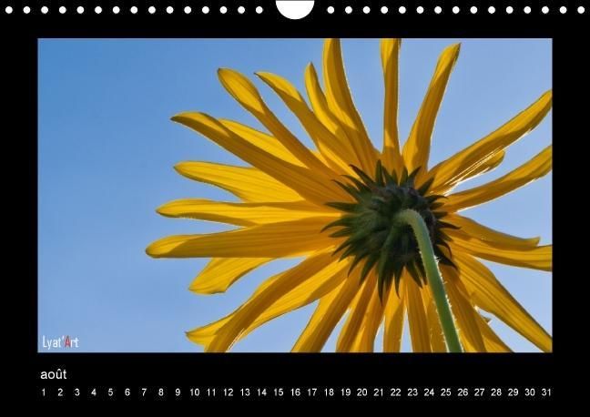 Produktbild: Liatard, A: Fleurs et couleurs (Calendrier mural Calendrier
