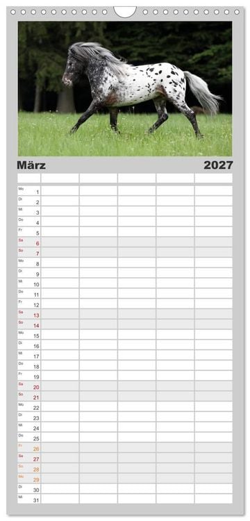 Produktbild: Familienplaner 2027 - Pferde - im Galopp durch's Jahr mit 5 Spalten (Wandkalender, 21 x 45 cm) CALVENDO