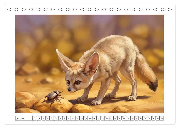 Produktbild: Fenneks - Neugierige Momente in der W&uuml;ste (Tischkalender 2027 DIN A5 quer), CALVENDO Monatskalender