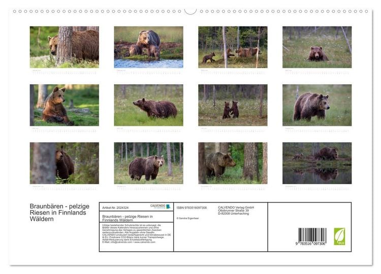 Produktbild: Braunb&auml;ren - pelzige Riesen in Finnlands W&auml;ldern (hochwertiger Premium Wandkalender 2026 DIN A2 quer), Kunstdruck in Hochglanz