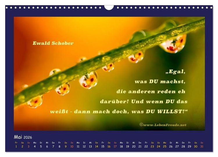 Produktbild: Bewusst leben und gl&uuml;cklich sein (Wandkalender 2026 DIN A3 quer), CALVENDO Monatskalender
