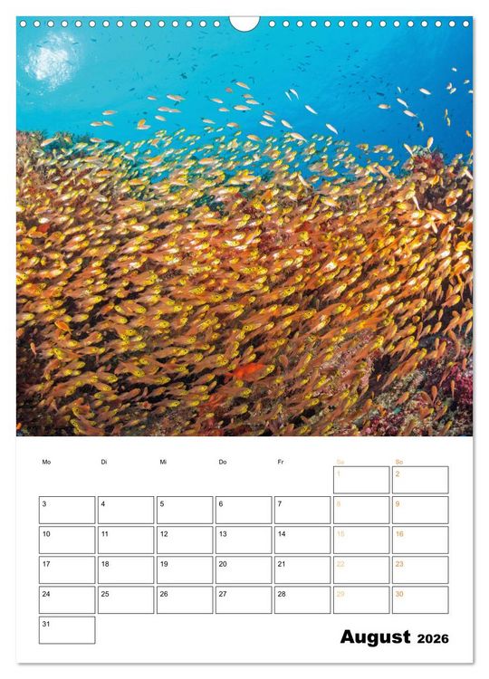 Produktbild: Farbrausch unter Wasser: Fische am Riff (Wandkalender 2026 DIN A3 hoch), CALVENDO Monatskalender