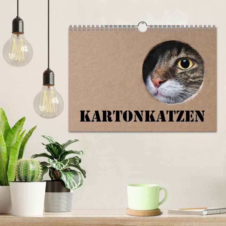 Produktbild: Karton Katzen (Wandkalender 2026 DIN A4 quer), CALVENDO Monatskalender