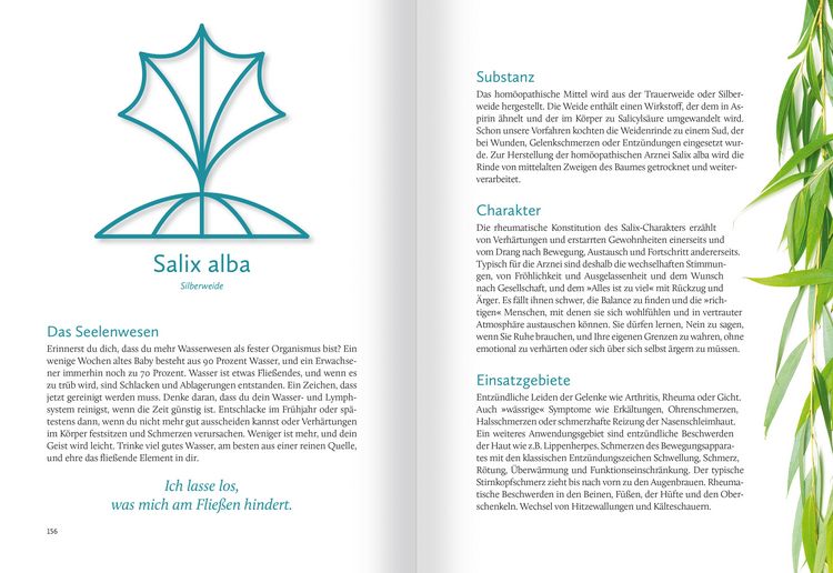 Produktbild: Hom&ouml;opathische Symbolapotheke. 70 wichtige "Kleine Mittel"