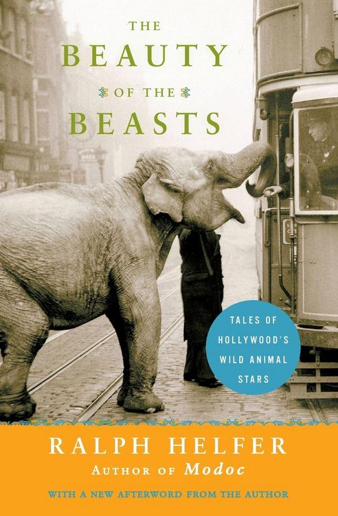 Produktbild: The Beauty of the Beasts