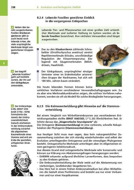 Produktbild: Basiswissen Schule &ndash; Biologie Abi