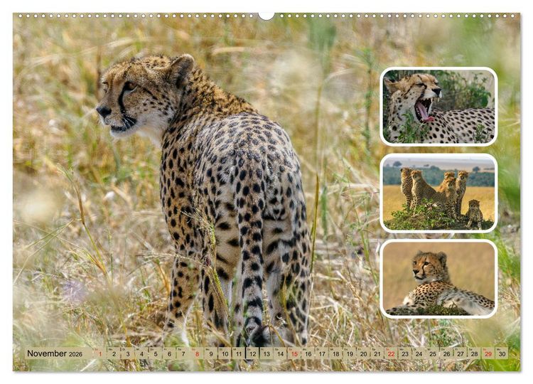 Fast & Furious Wandkalender 2022 - 16 Monate Großformat 30x30cm