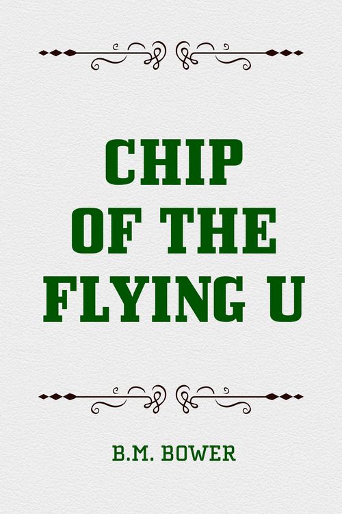 Produktbild: Chip of the Flying U