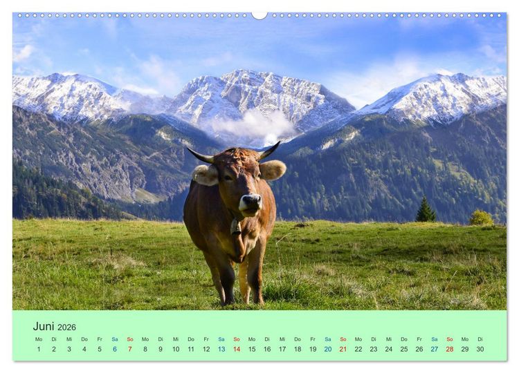 Produktbild: Zauber der Alpen (hochwertiger Premium Wandkalender 2026 DIN A2 quer), Kunstdruck in Hochglanz